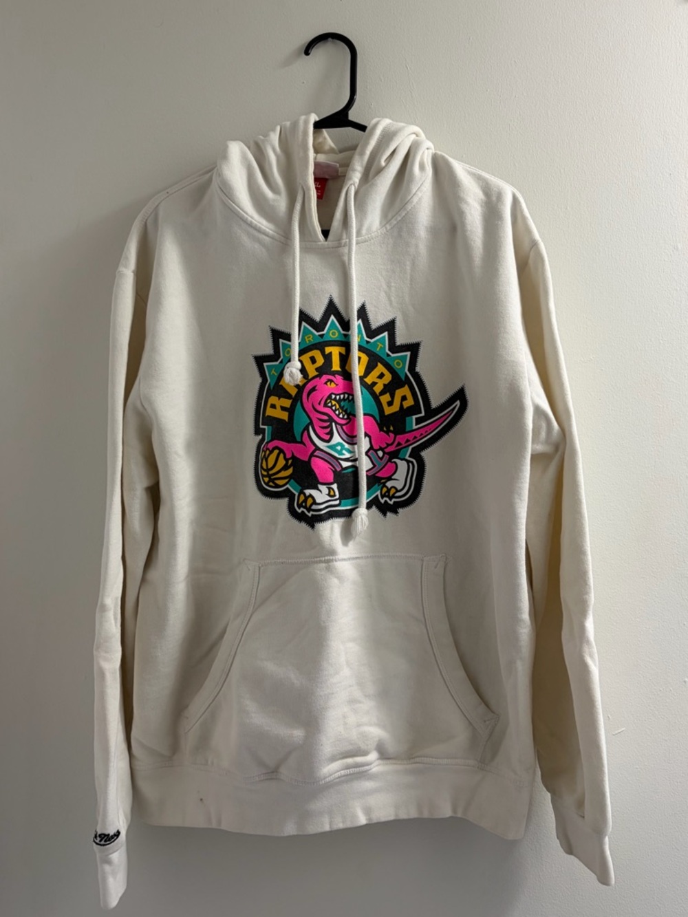 Raptors Graphic Hoodie
